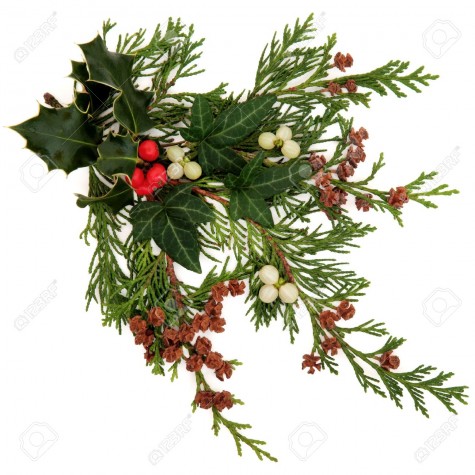 The Legend of the Mistletoe