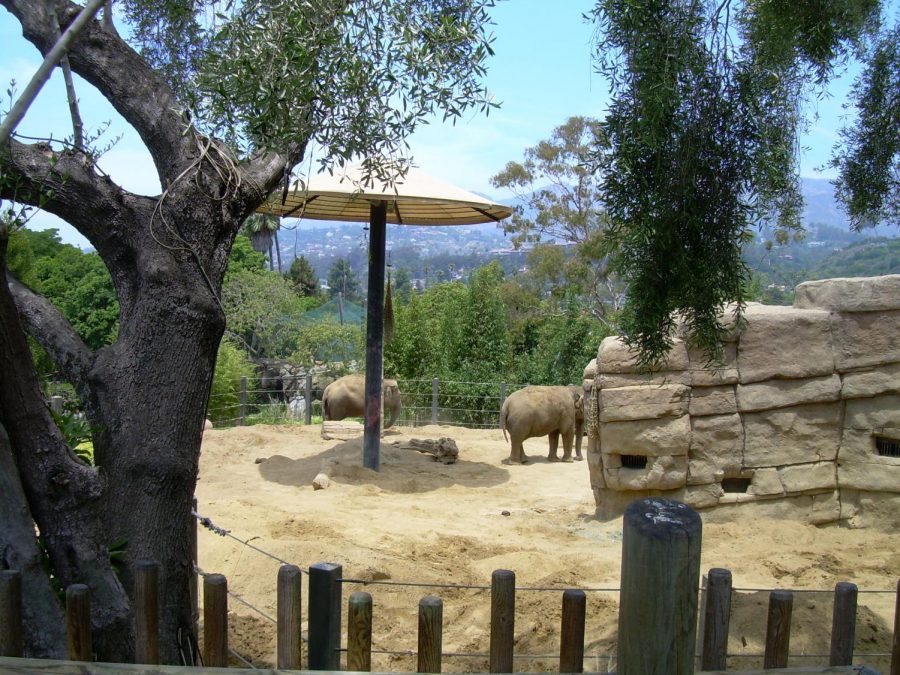 The Santa Barbara Zoo