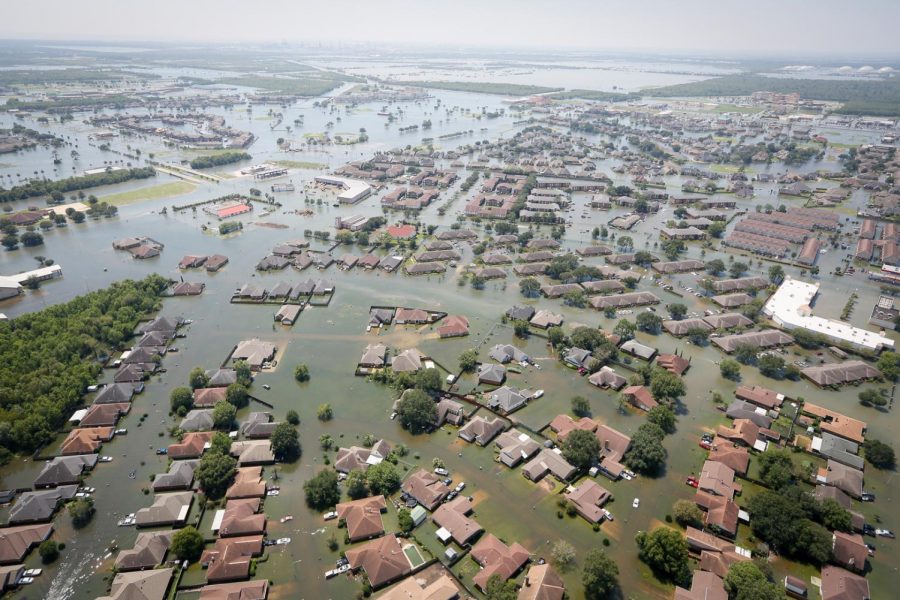 Coastal cities may flood due to global warming