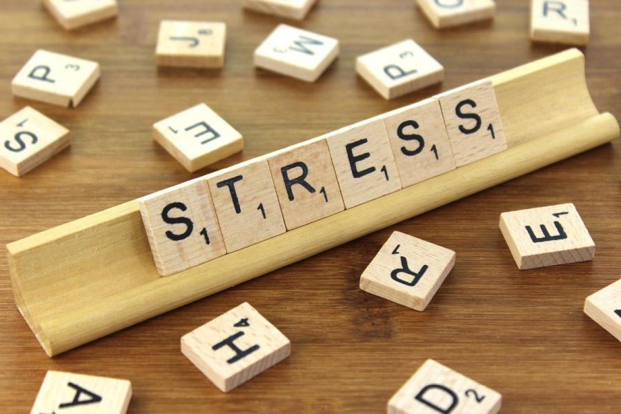 5 Tips That Can Help With Stress
