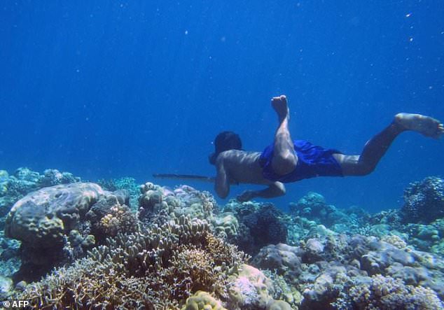 First genetic adaptation to diving discovered in Sea Nomads