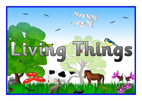 Ten Top Favorite Living Things