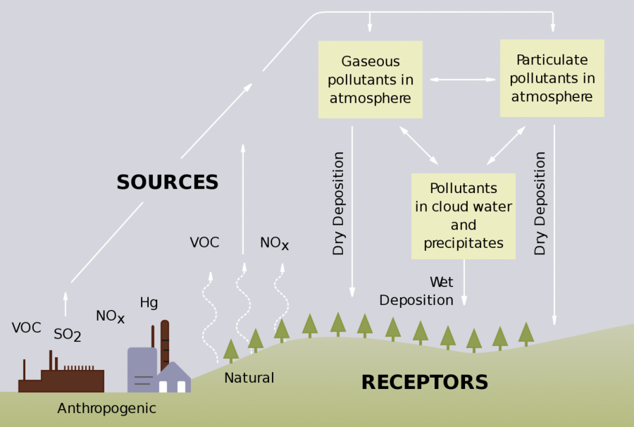 How does acid rain affect the ecosystem?