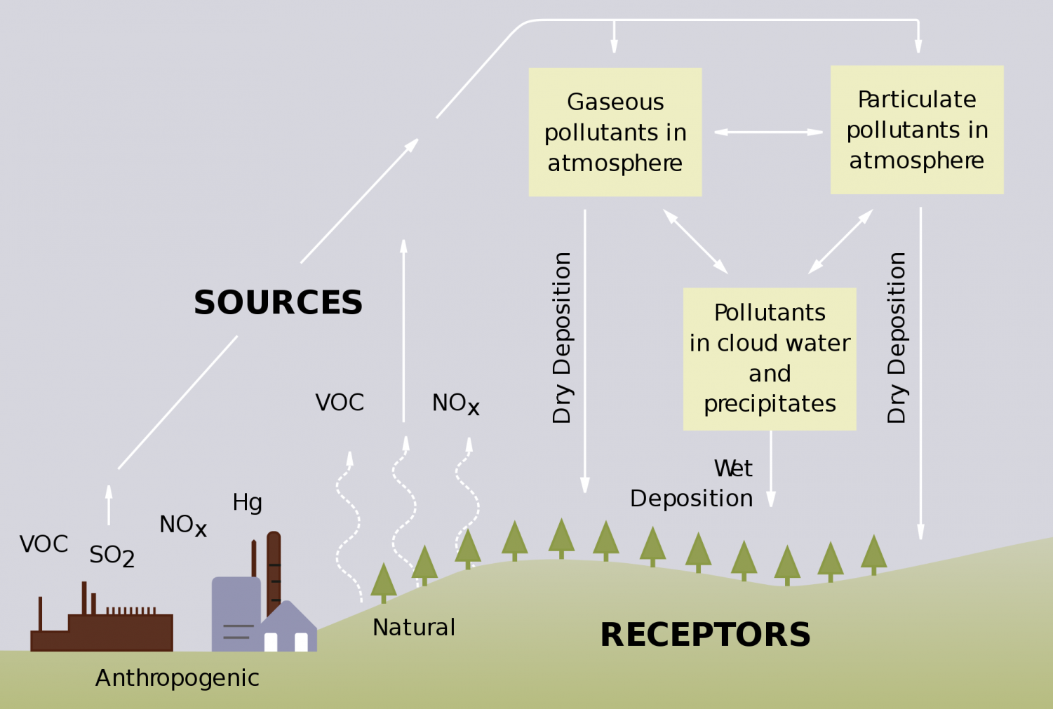 How does acid rain affect the ecosystem? The Voyager
