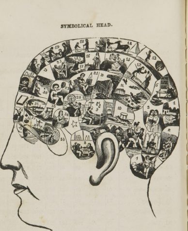 3 Natural Ways to Improve your memory