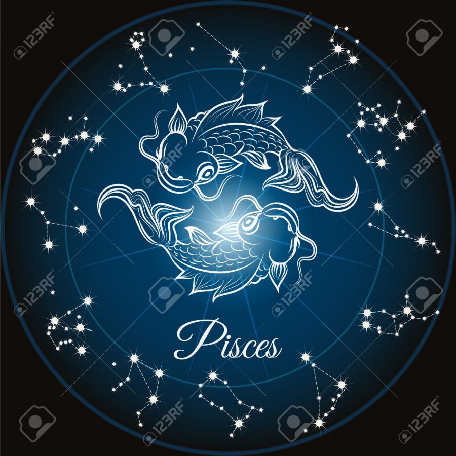 Pisces February 19 March 20 The Voyager