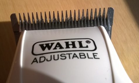 wahl zero gap clippers