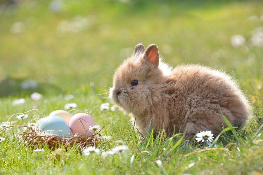 3 Ideas Where to Celebrate Easter