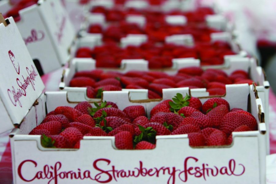 California Strawberry Festival 2019