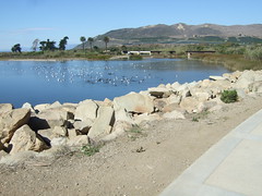Venturas Water Situation