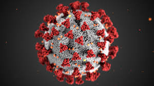 Coronavirus Cases are Multiplying